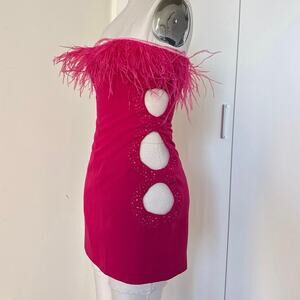 Danielle Guizio Pink Feather Trim Embellished Cutout Dress XSmall